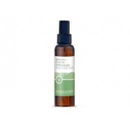 Čisticí hydrolát z lékařské šalvěje - 100 ml SAPONE DI UN TEMPO univerzální