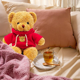 B48C2 PLYŠOVÝ MEDVĚD 40CM