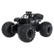R/C Vozidlo LION Černý