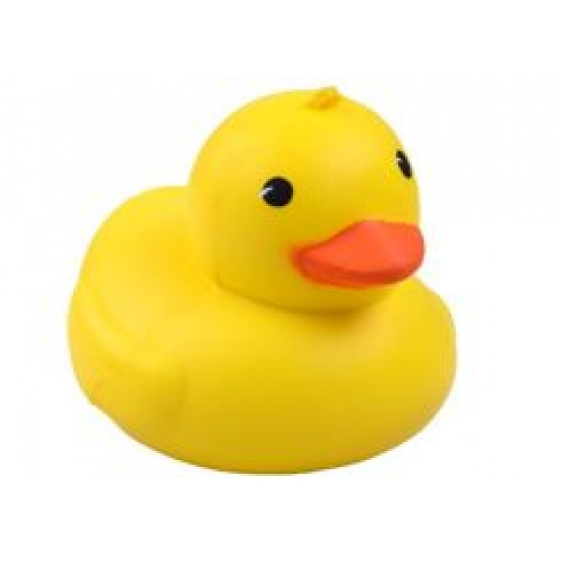 Pěnová Kachnička ZA2627