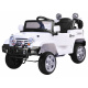 Elektrické terénní autíčko s dálkovým ovládáním PA0111 Zelené