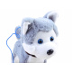 Interaktivní pes Husky na vodítku ZA3888