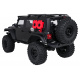 Auto R/C WILDERNESS RTR 1:10 Černý