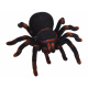 Tarantule na dálkové ovládaní  RC0251
