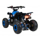 Čtyřkolka Spalovací RENEGADE HIPERFECT 110CC Modrá