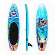 Aga Dětský Paddleboard DS2215 250x60x10 cm