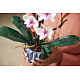 LEGO® Botanicals 10311 Orchidej
