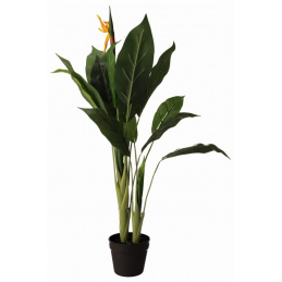 Umělá zelená rostlina Strelície v květináči - 90 cm