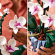 LEGO® Botanicals 10311 Orchidej