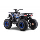 Spalovací čtyřkolka 200CC MONSTER Modrá
