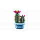 LEGO® Botanicals 11509 Kvetoucí kaktus