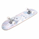 VELKÝ DŘEVĚNÝ SKATEBOARD ZMRZLÝ AKVAREL