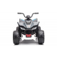 Mclaren Racing MCL 35 Quad vehicle Grey