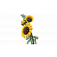 LEGO® Botanicals 11502 Kytice slunečnic