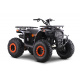 Spalovací čtyřkolka 200CC MONSTER Oranžová
