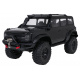 Auto R/C WILDERNESS 1:10 Černý