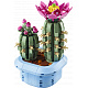 LEGO® Botanicals 11509 Kvetoucí kaktus