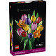 LEGO® Botanicals 11501 Kytice tulipánů