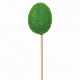 Vejce na zeleném mechu