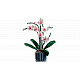 LEGO® Botanicals 10311 Orchidej