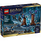 LEGO® Harry Potter™ 76475 Zapovězený les: Expecto Patronum