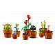 LEGO® Botanicals 10329 Miniaturní rostliny