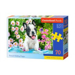 CASTORLAND Puzzle 70 dílků - Štěně francouzského buldočka