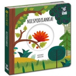 Magický kruh kapitána vědy. Překvapení! KS0674