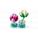 LEGO® Botanicals 11511 Lekníny