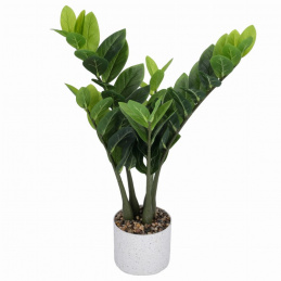 Umělá rostlina Zamiokulkas v květináči 60 cm výšky zelená JAKO ŽIVÁ