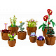 LEGO® Botanicals 10329 Miniaturní rostliny