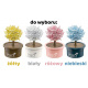 Rostoucí křišťálový strom štěstí - Magic Crystal Tree ZA4323