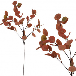 Eukalyptová větev - odstíny hnědé - 90 cm