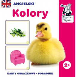 Výuková hra "Anglické barvy" pro děti 2+ Výuka angličtiny + učení názvů barev