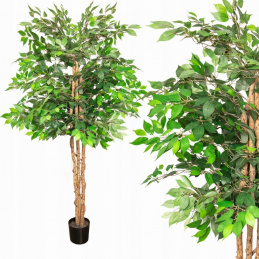 Umělá rostlina Fíkovník v květináči zelená - 160 cm