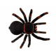 Tarantule na dálkové ovládaní  RC0251