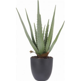 Umělá rostlina Aloe v květináči, výška 45 cm, zelená JAKO ŽIVÁ