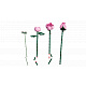 LEGO® Botanicals 10374 Kytice růžových růží