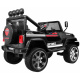Terénní auto Raptor Drifter Black + Dálkové ovládání + Pohon 4x4 + Úložný prostor + Pomalý start + MP3 LED