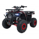 Čtyřkolka Spalovací 120CC DISCOVERER Červená