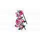 LEGO® Botanicals 10374 Kytice růžových růží