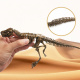 Aga4Kids Sada pro malé paleontology T-Rex