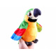 Papoušek opakující slova ZA3887 - Zelený