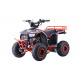 Čtyřkolka Spalovací 110CC EXPLORER Červená