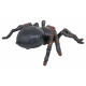 MEGA Pavouk Tarantule R/C