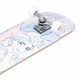 VELKÝ DŘEVĚNÝ SKATEBOARD ZMRZLÝ AKVAREL