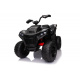 Čtyřkolka Rychlé Kolo Černá