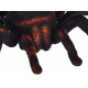 Tarantule na dálkové ovládaní  RC0251