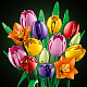 LEGO® Botanicals 11501 Kytice tulipánů