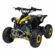 RENEGADE HighPer 110CC Žlutá spalovací čtyřkolka